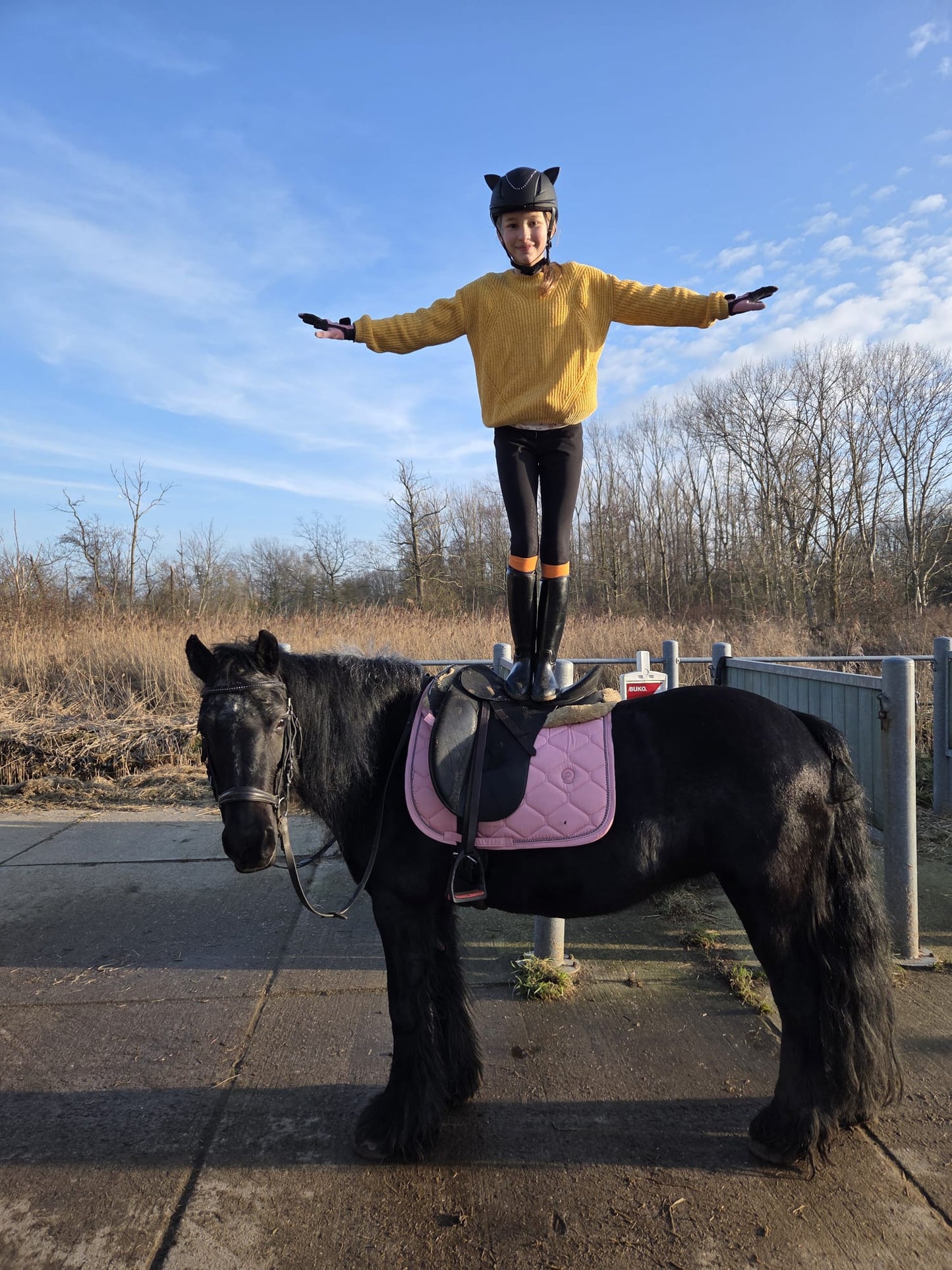 Softeez: Black Cat Ears for Helmet